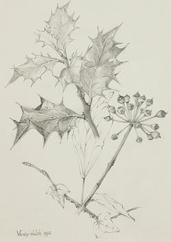 Wendy F. Walsh, Hedera Helix and Ilex Aquifolium (1992) at Morgan O'Driscoll Art Auctions